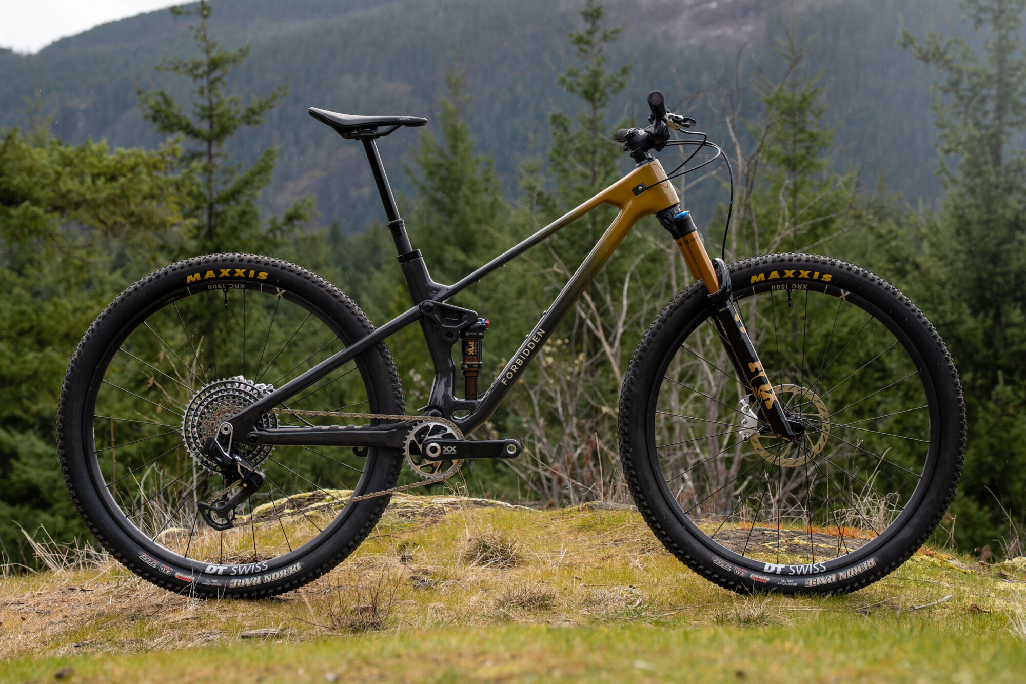 The New Forbidden Reya is for Downcountry