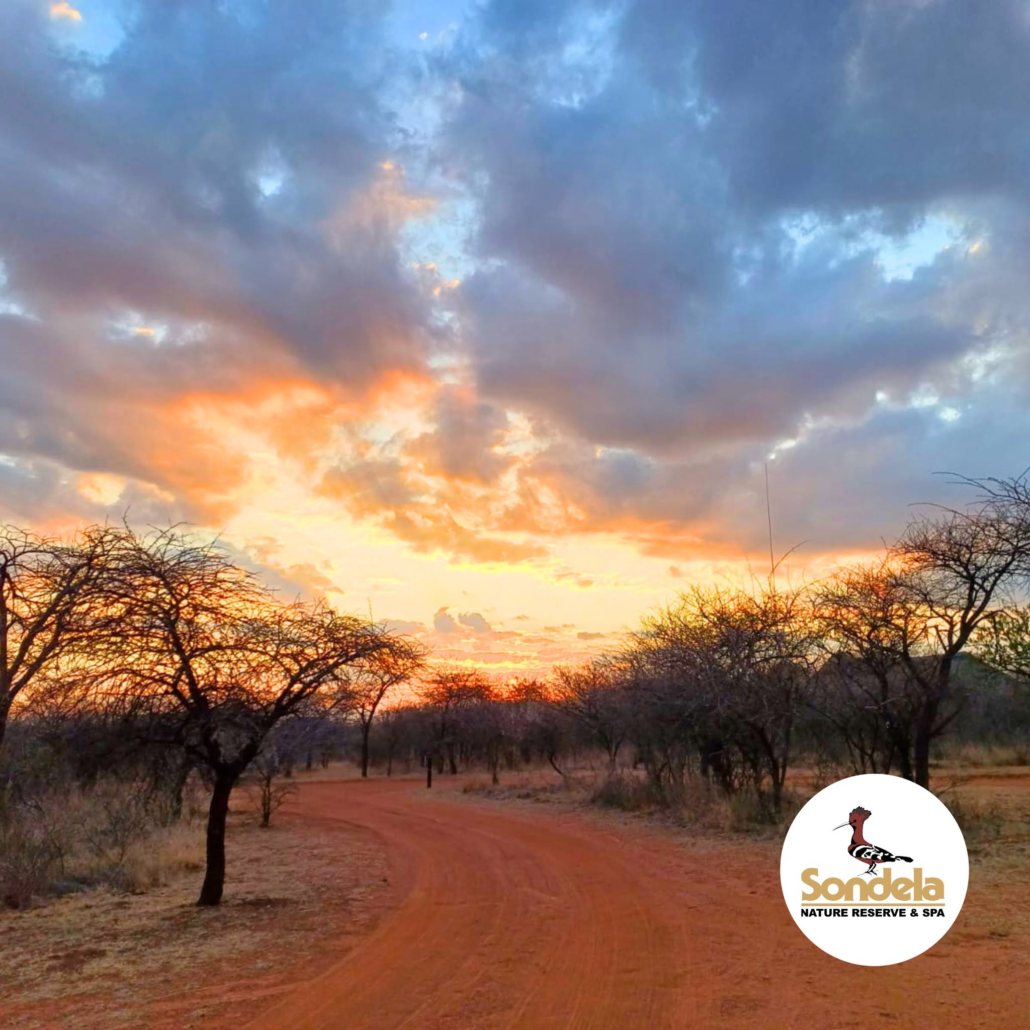 Sondela Ford Trailseeker Series