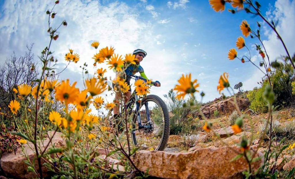 Namaqua Flower MTB Tour | 2026