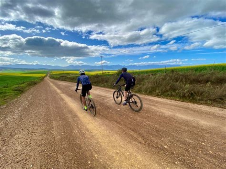 Brew Series Greyton to Hermanus | 2026