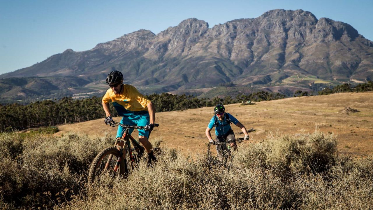 Weekend Warrior Stellies | 2026