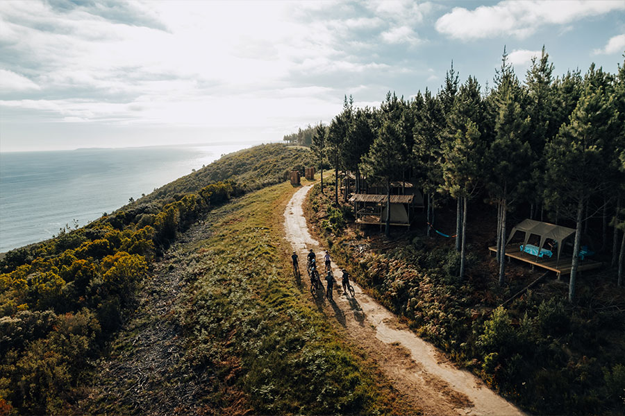 Tsitsikamma 3-Day MTB Tour | January 2027